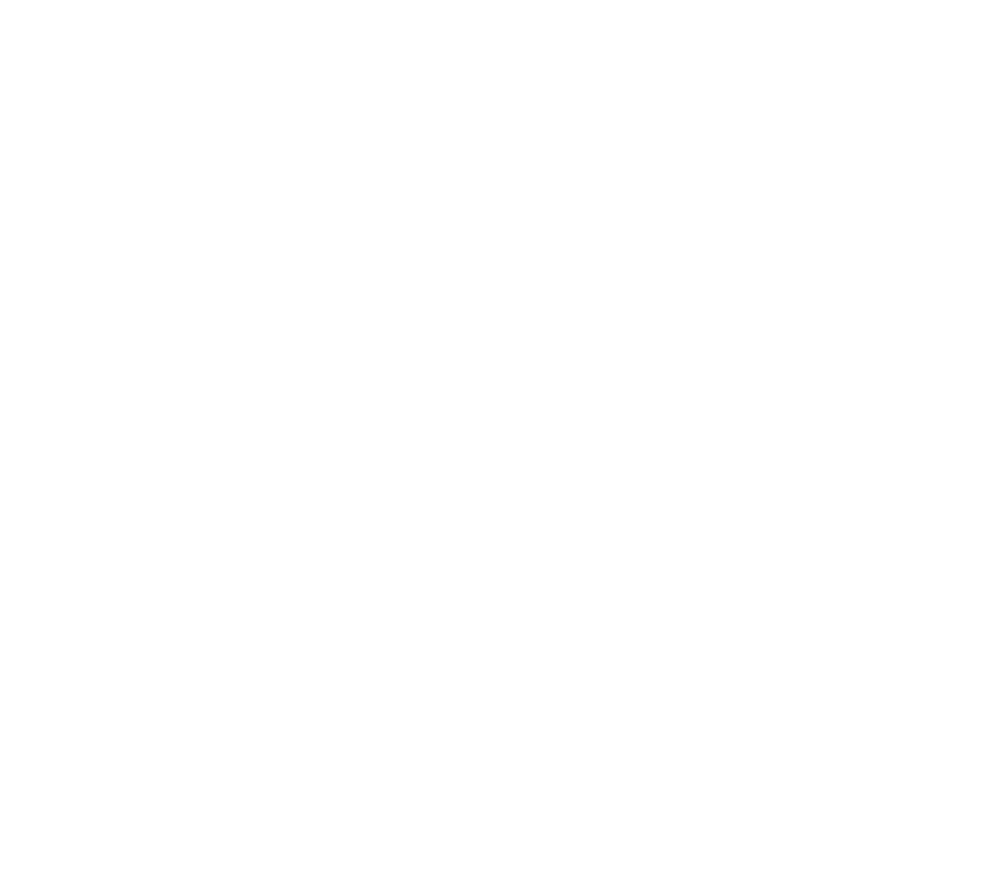 risczero_logo_white